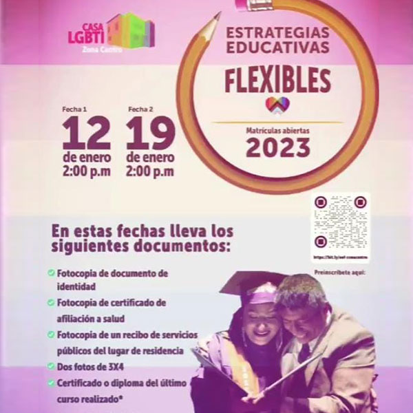 Estrategias de Educación Flexible 2023